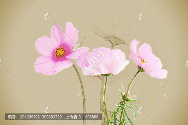 粉紅色小花