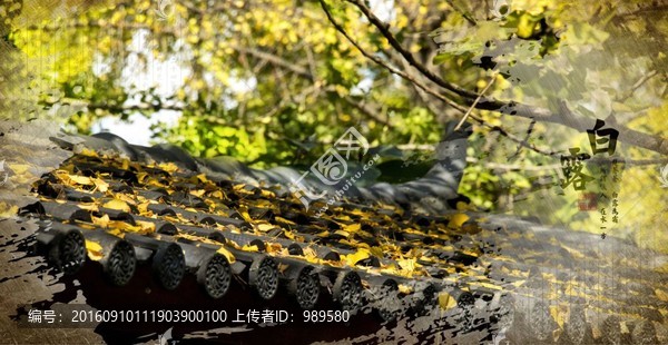 白露