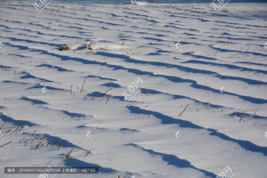 雪痕