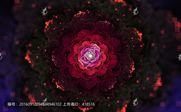 花朵