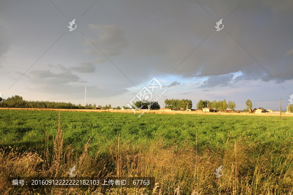 雨后原野-匯圖網(wǎng) www.fosd68.com 雨后原野