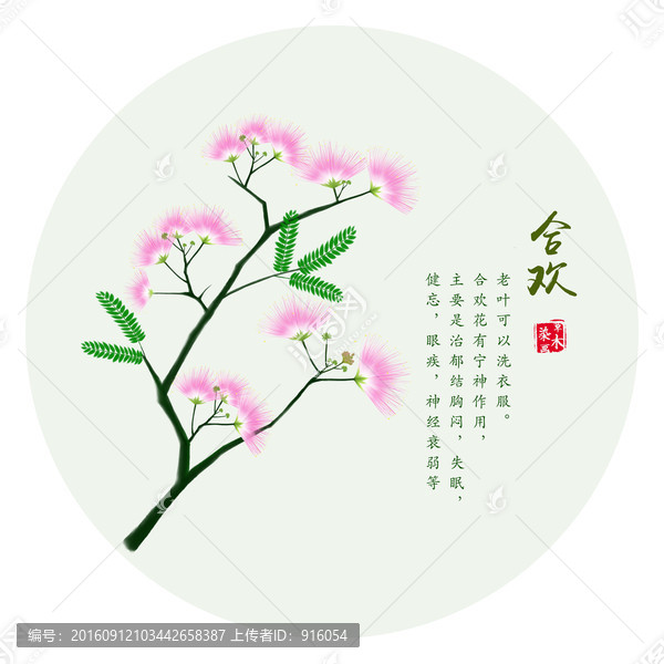 手繪合歡花,合歡樹
