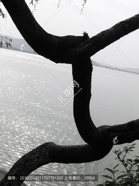 徐州云龙湖春天风景