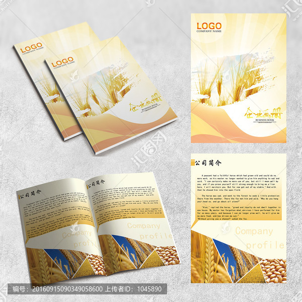 企業(yè)畫冊(cè)