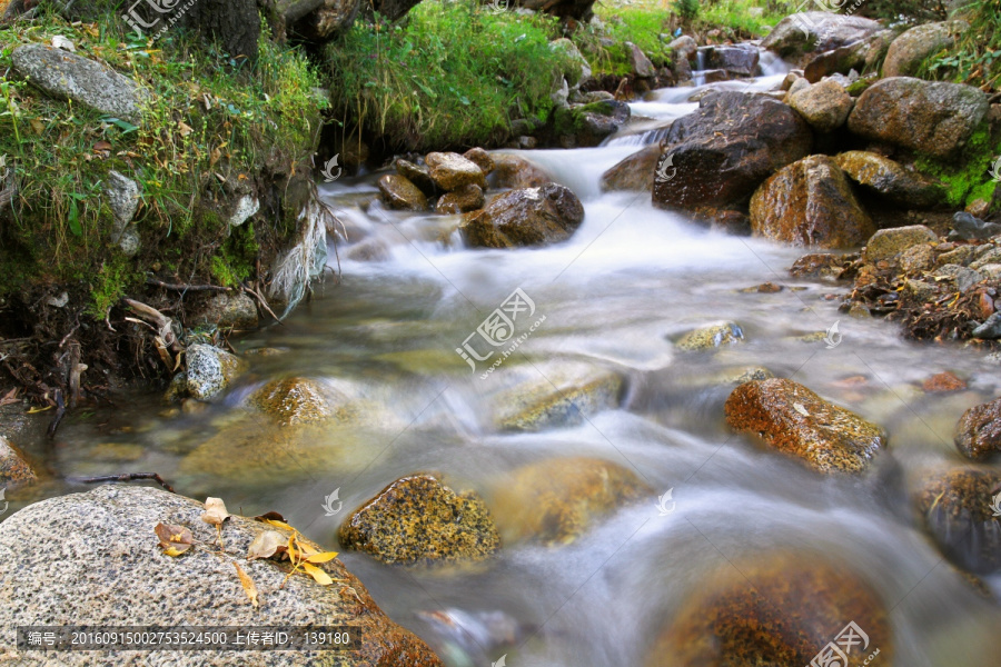 溪流,小溪,河水