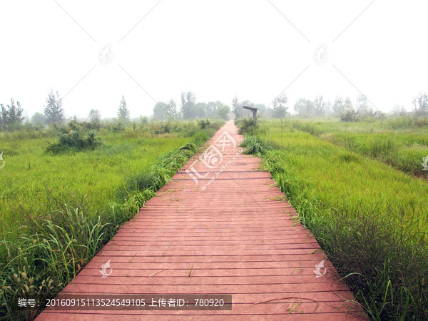 郑州黄河国家湿地公园