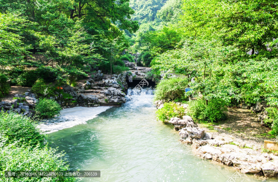 溪流,树林,山涧