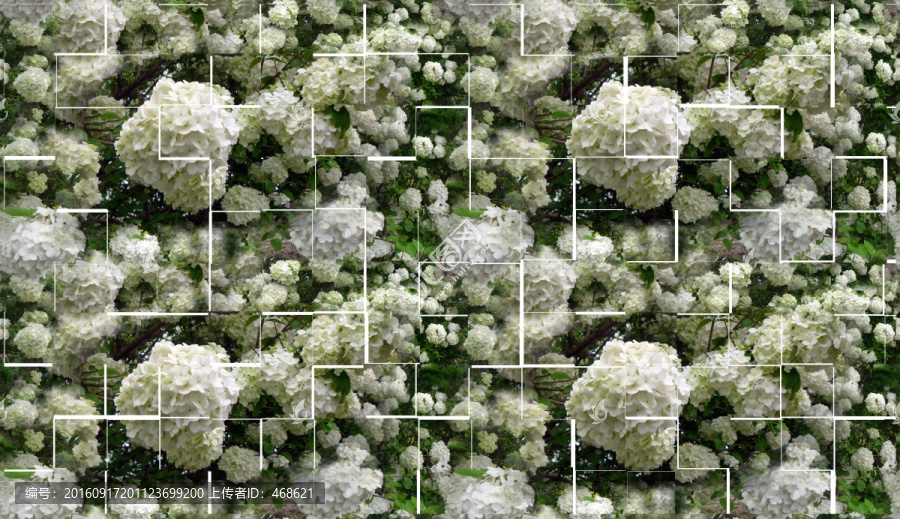 拼接繡球花未分層