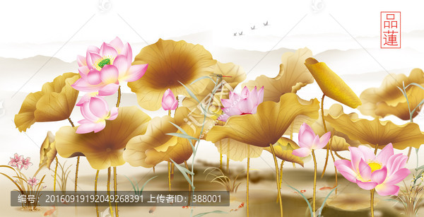 金荷背景墻