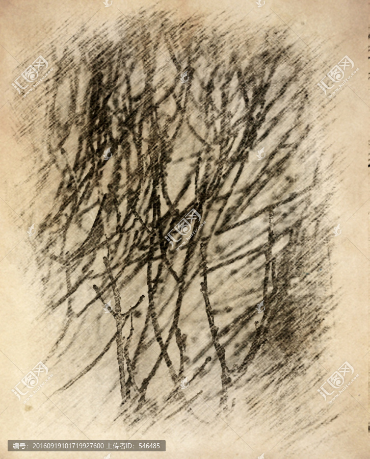素描底紋,樹枝