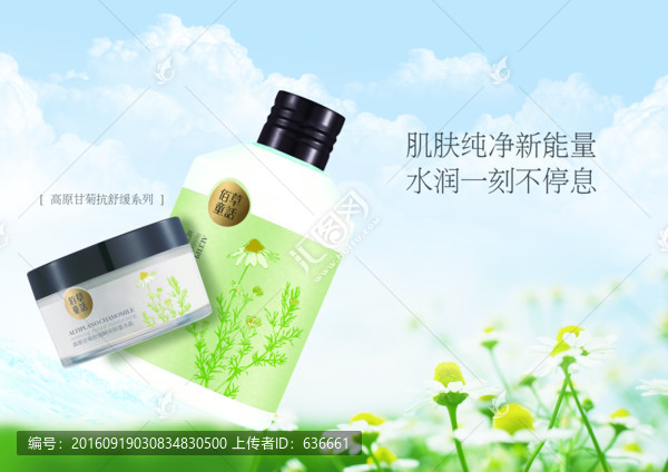 洋甘菊海報(bào)
