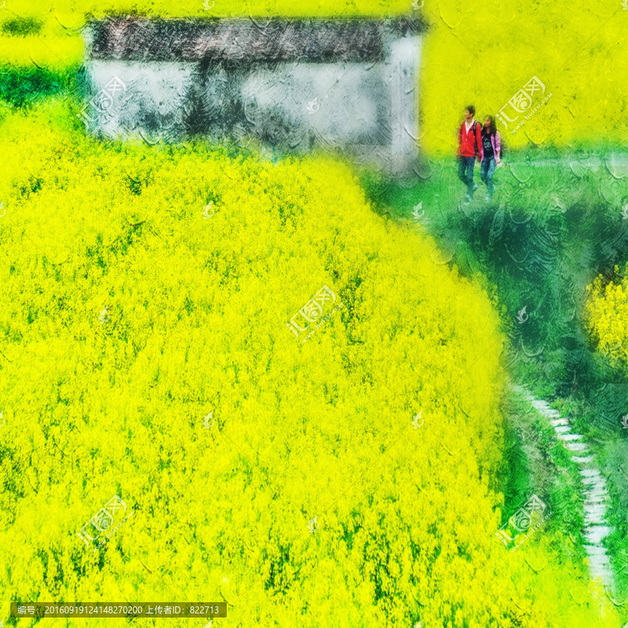 油菜花油畫