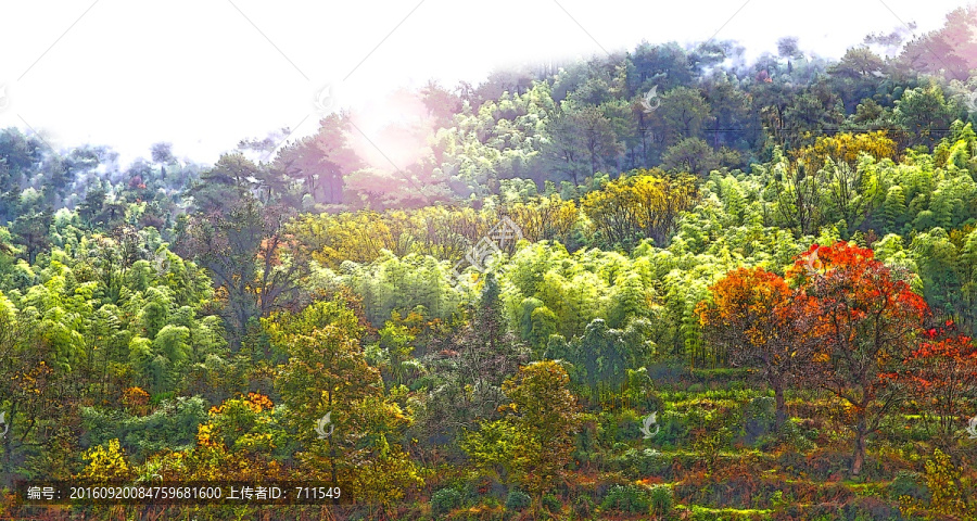 山林秋色風(fēng)景裝飾畫,,未分層