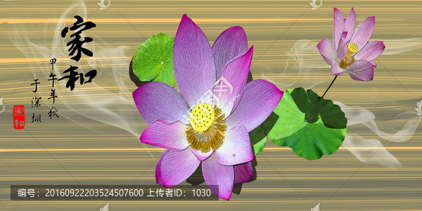 荷花3D無框畫