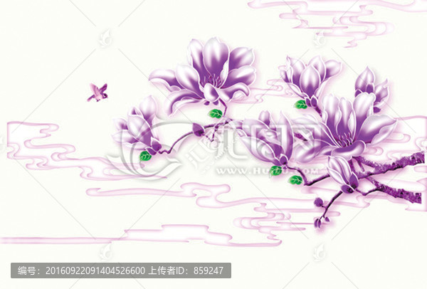 紫蘭花