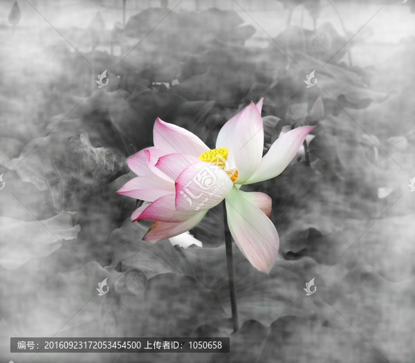意向水墨