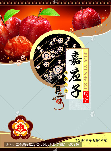 嘉應子