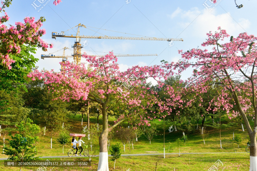 松山湖桃花林