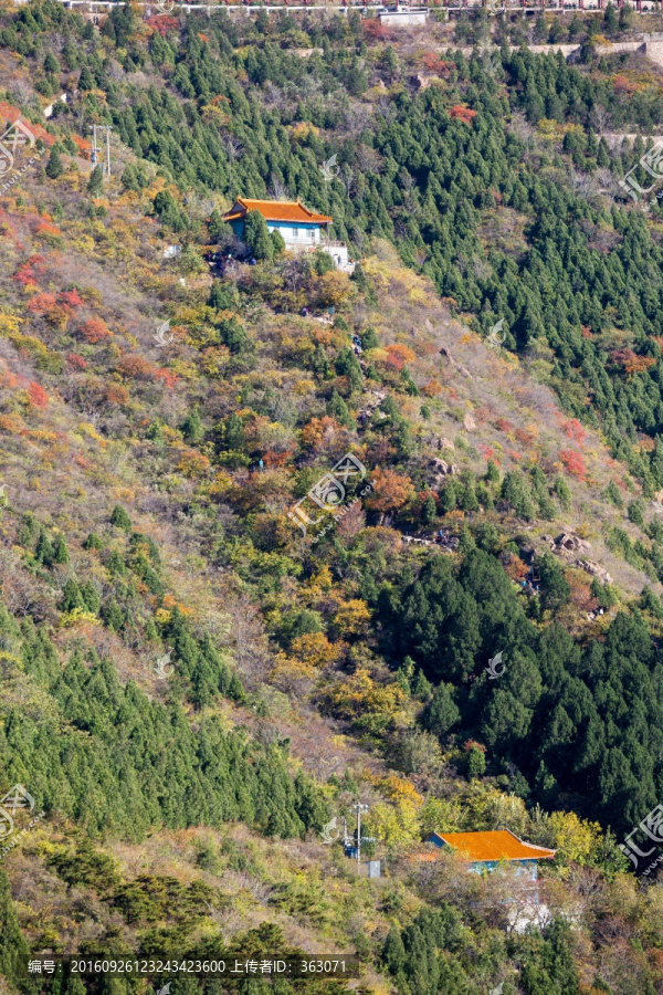 北京蟒山森林公园秋景