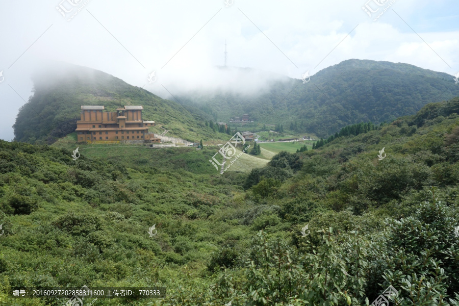 金佛山,山脉,云雾