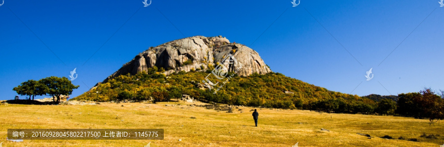 神山,白桦树,树林,秋景,秋