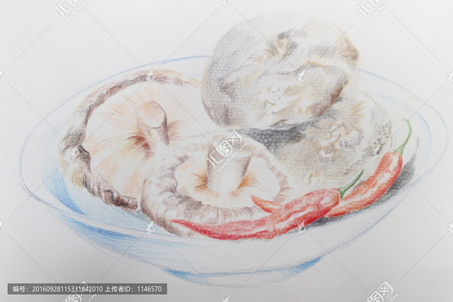 手繪,素描,香菇,辣椒