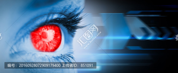 眼睛的復(fù)合形象