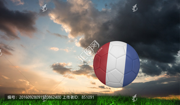 草地上的法国足球