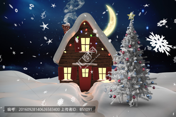 夜间圣诞树与房屋