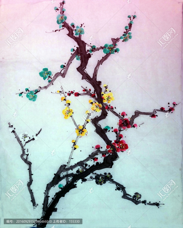 五色梅花