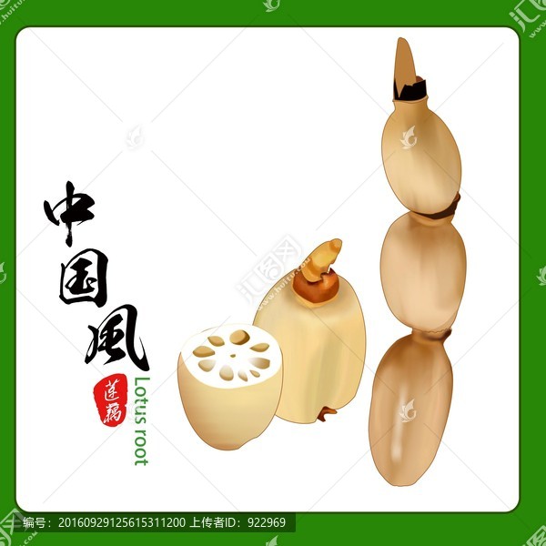 卡通蓮藕,蓮藕,藕節,蔬菜