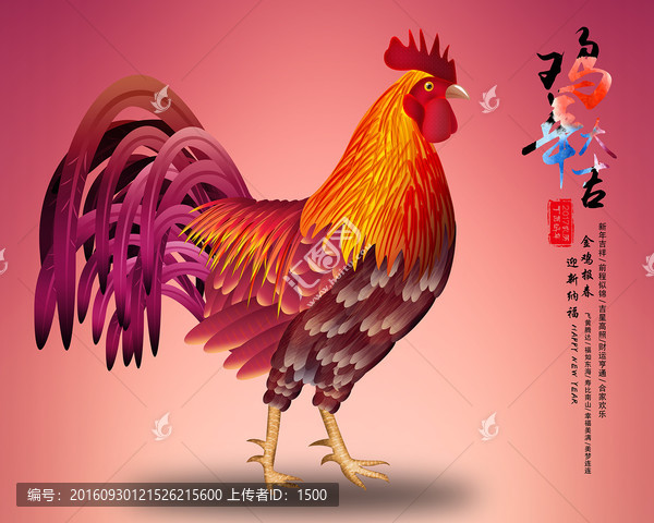 公雞