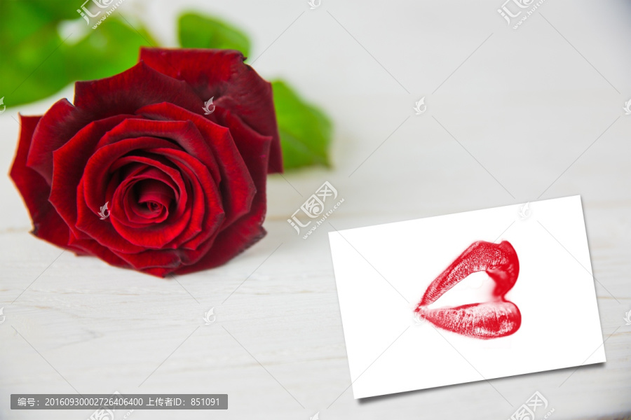 盛开红玫瑰和红唇
