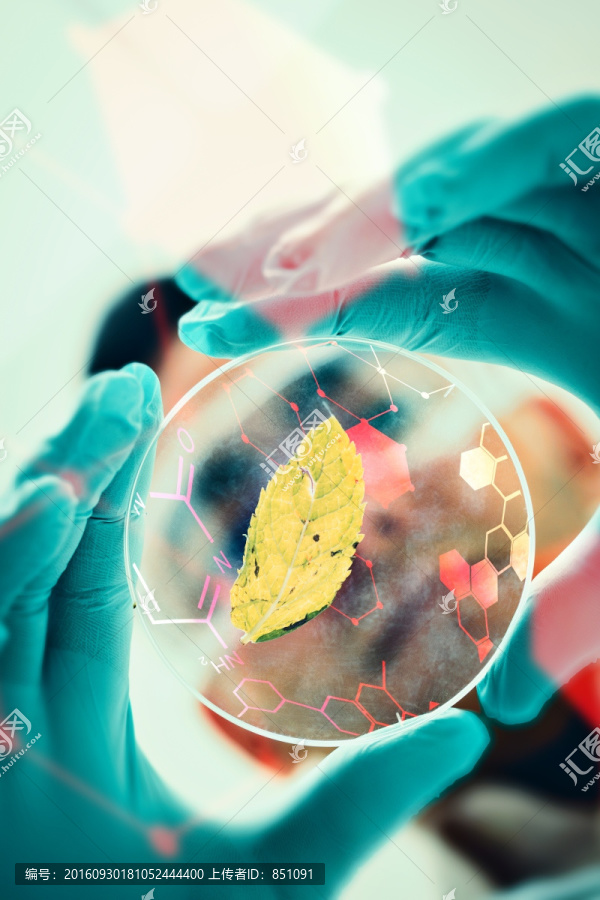 科學(xué)家做實(shí)驗(yàn)的復(fù)合形象
