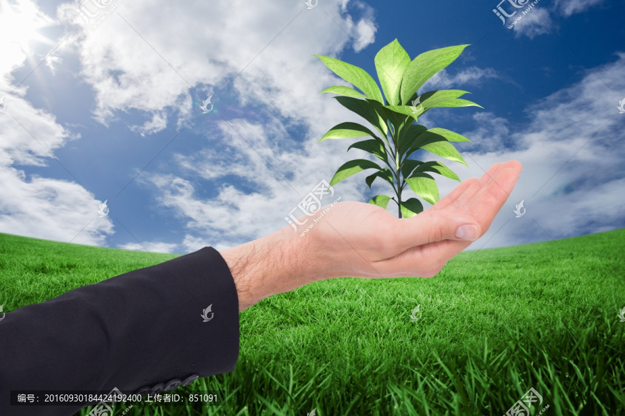 空手開放式商人的復(fù)合形象