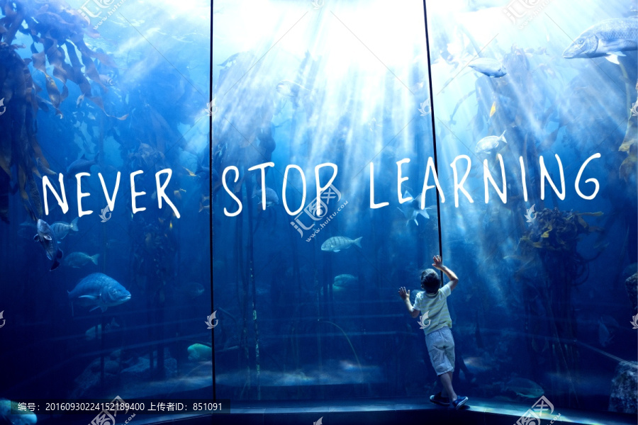 男孩看著水族館的海洋生物