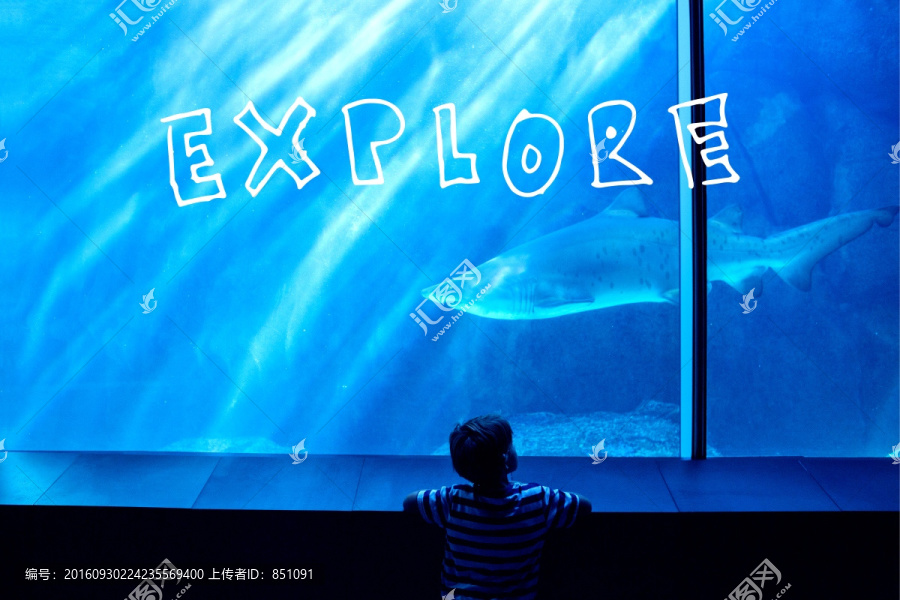 男孩看著水族館的海洋生物