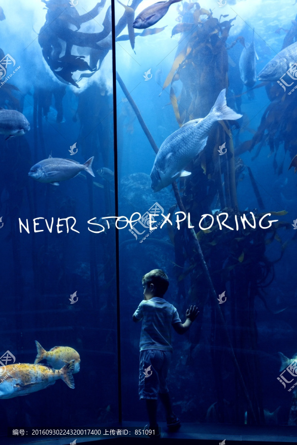 男孩看著水族館的海洋生物