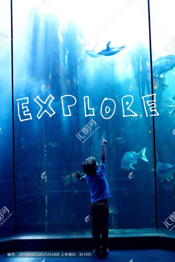 看著水族館里的魚(yú)的男孩