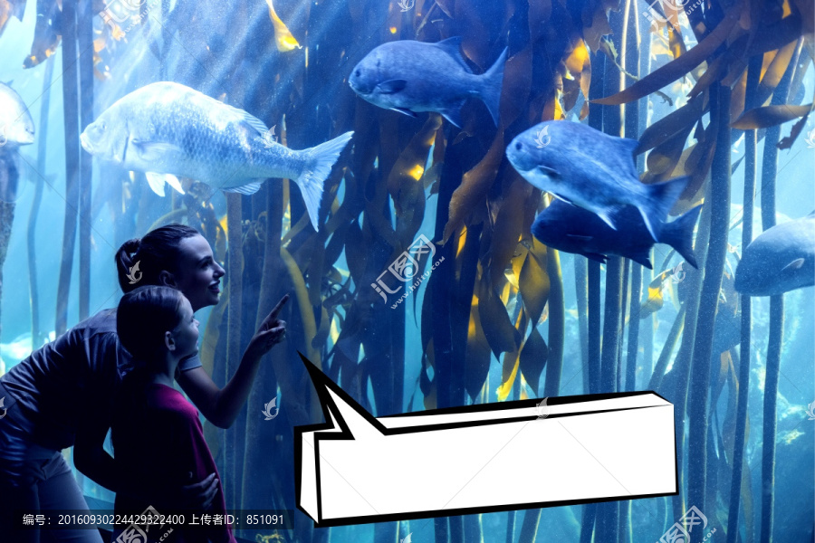 母女看著水族館的海洋生物