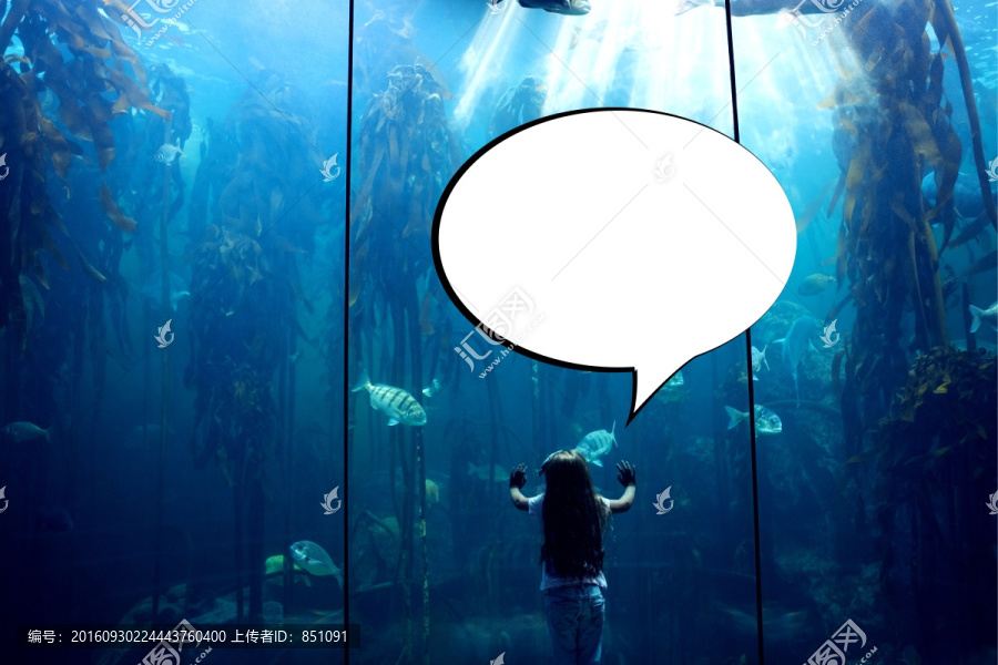 女孩看著水族館的海洋生物