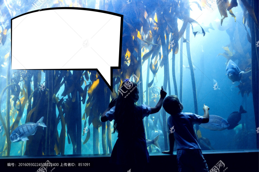 孩子看著水族館的海洋生物