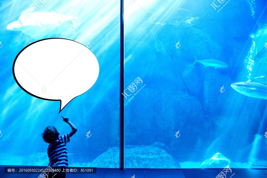 指著水族館里的魚(yú)的男孩