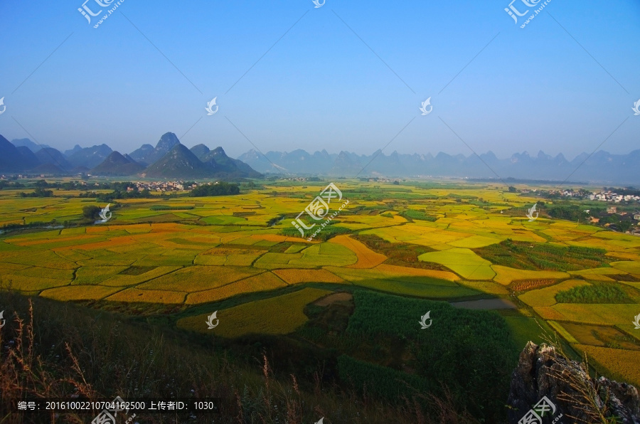 风景,秋景