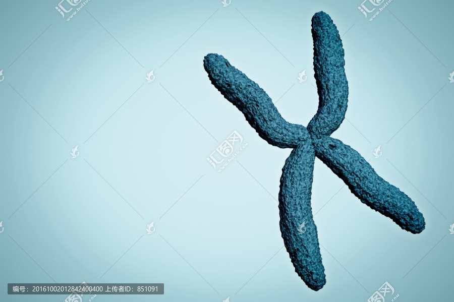 蓝色背景下的DNA图像