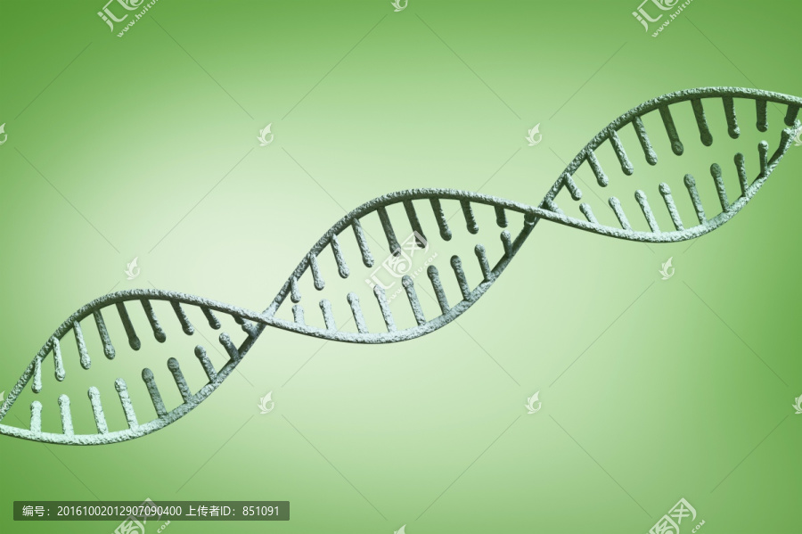 一種DNA與綠色暈觀