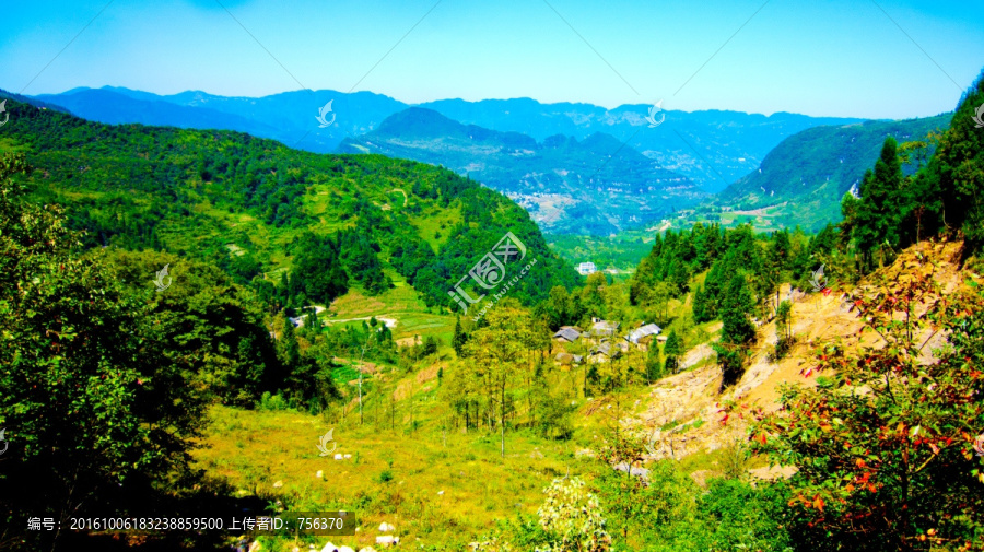 山村,青山