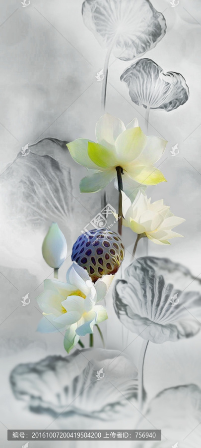 墨荷