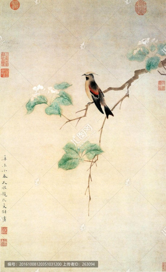 文椒,花鳥圖