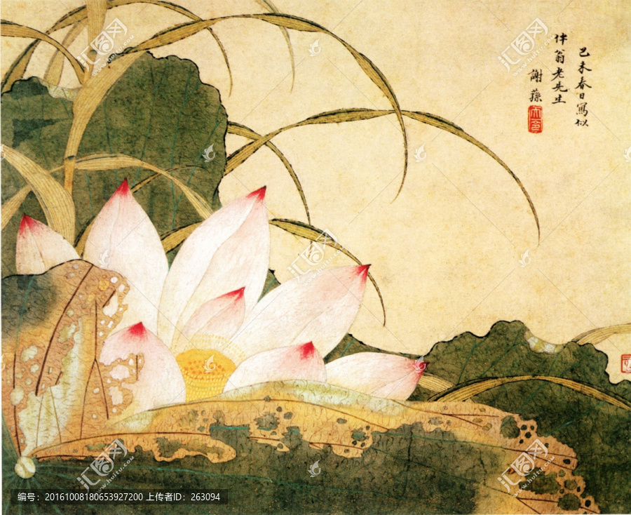荷花圖,謝蓀